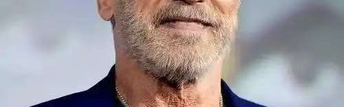 开云线上入口-1996年， 施瓦辛格在家中无事，和35岁200斤女佣发生不当关系