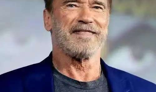 开云线上入口-1996年， 施瓦辛格在家中无事，和35岁200斤女佣发生不当关系